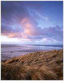 Budle Bay